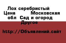 Лох серебристый ) › Цена ­ 220 - Московская обл. Сад и огород » Другое   